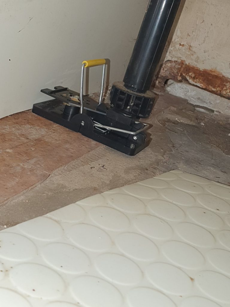 Snap trap in kitchen in Newhaven A flooring tool rests on bare floor tiles, near a black pipe and uneven surface.