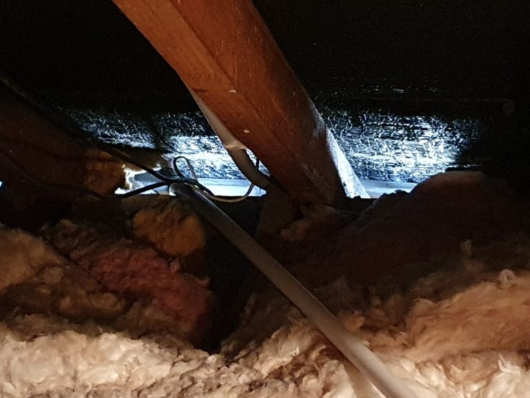 Exposed eaves allowing rodent access at a property in Hastings Exposed eaves
