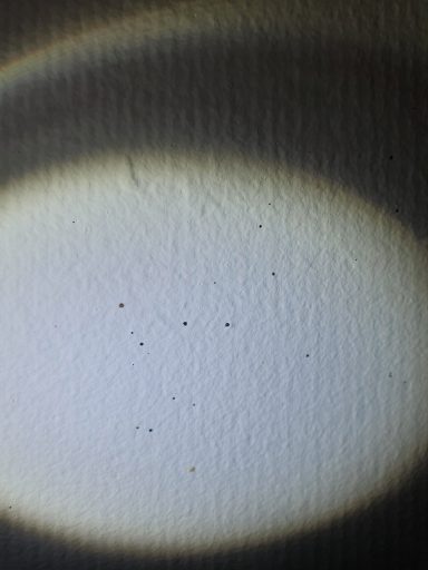 Blood spatters on the wall of a bedbug infested bedroom Small blood spatters on the wall of a bed bug infested bedroom