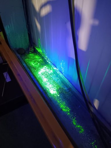 tracking gel showing rodent activity under UV light