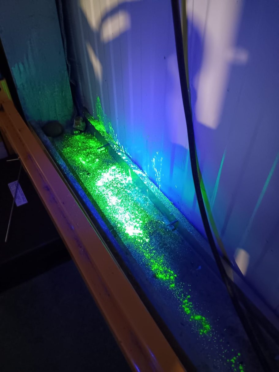 tracking dust under UV light showing rodent activity