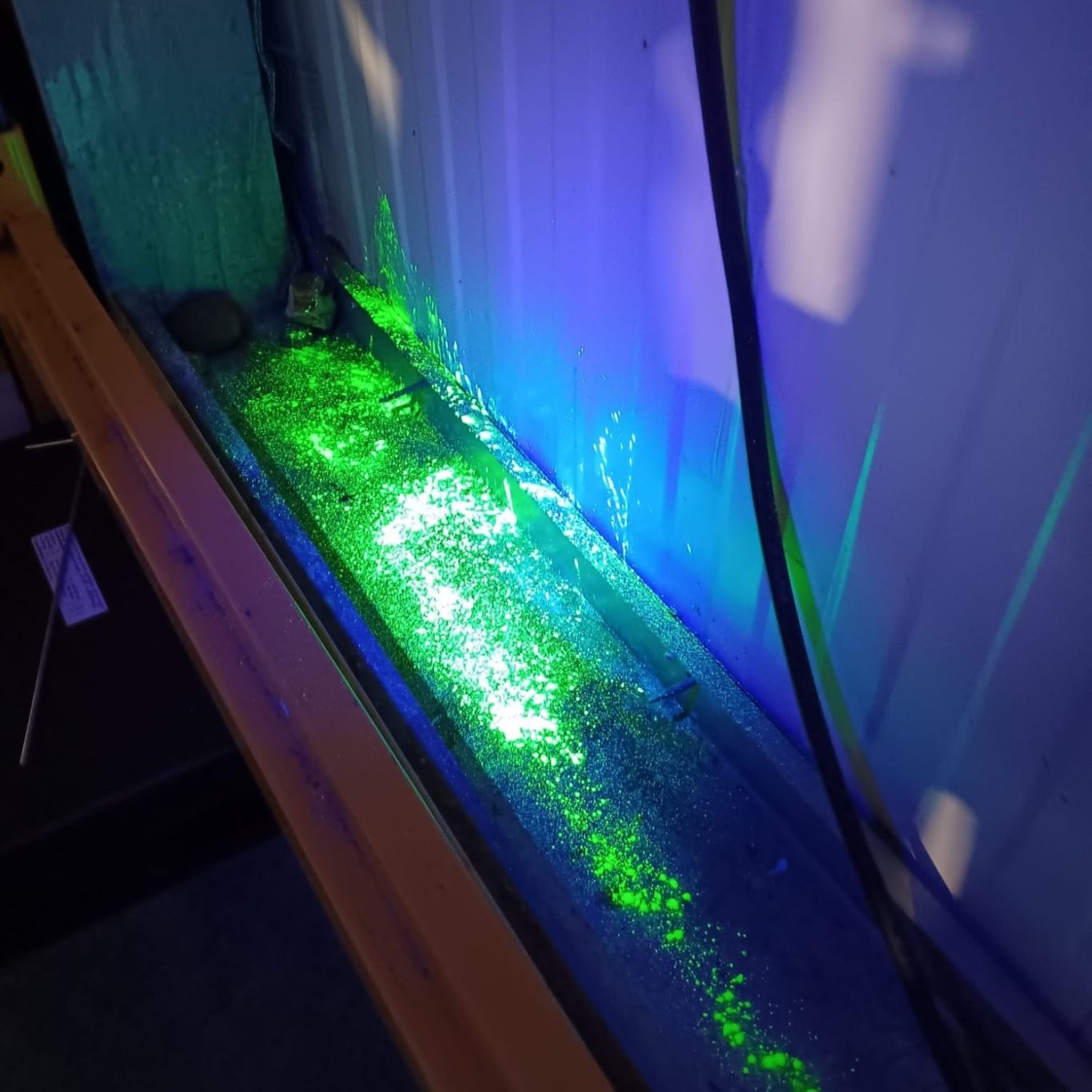 Tracking gel under UV light confirming mouse activity in a warehouse in East Sussex Tracking gel under UV light showing mouse activity