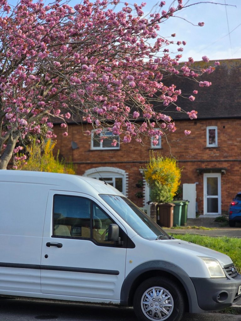 Rat King Pest Control's unbranded van Rat King Pest Control's unbranded van