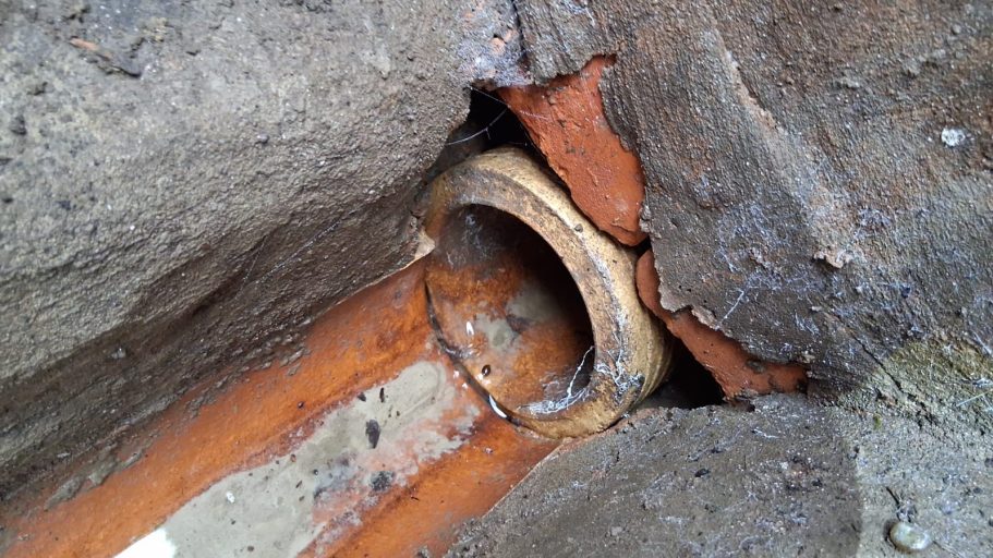 Rodent entry point in drain