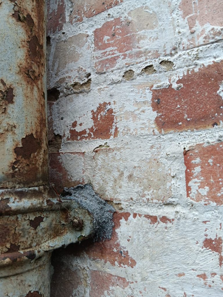 External rodent access point after proofing at a property in East Sussex External access point after proofing